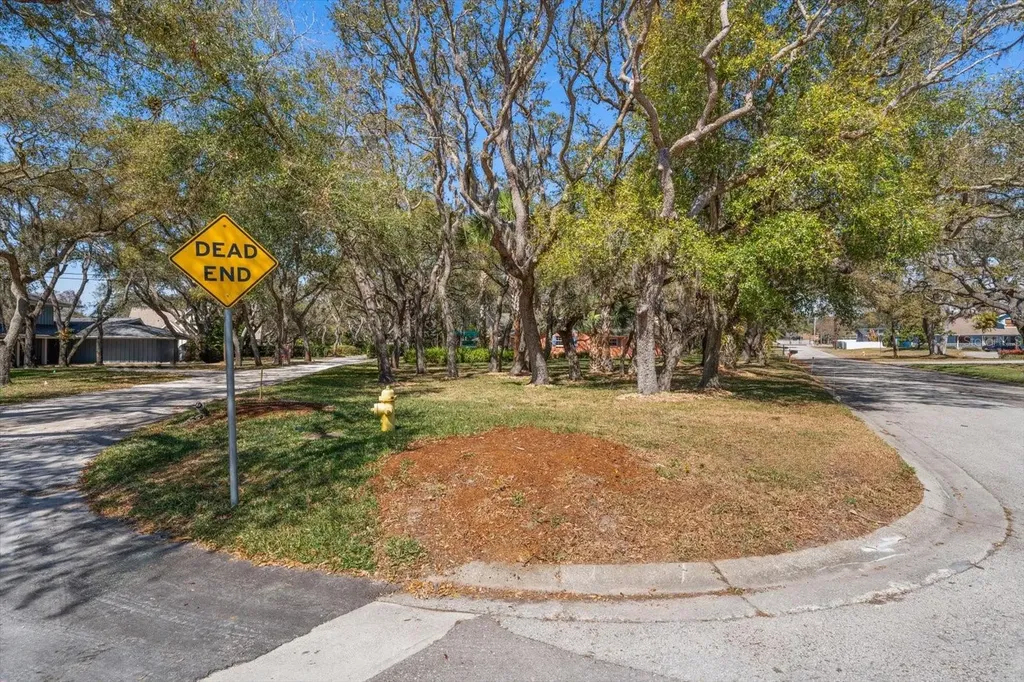1921 Cardinal Road Dunedin FL 34698
