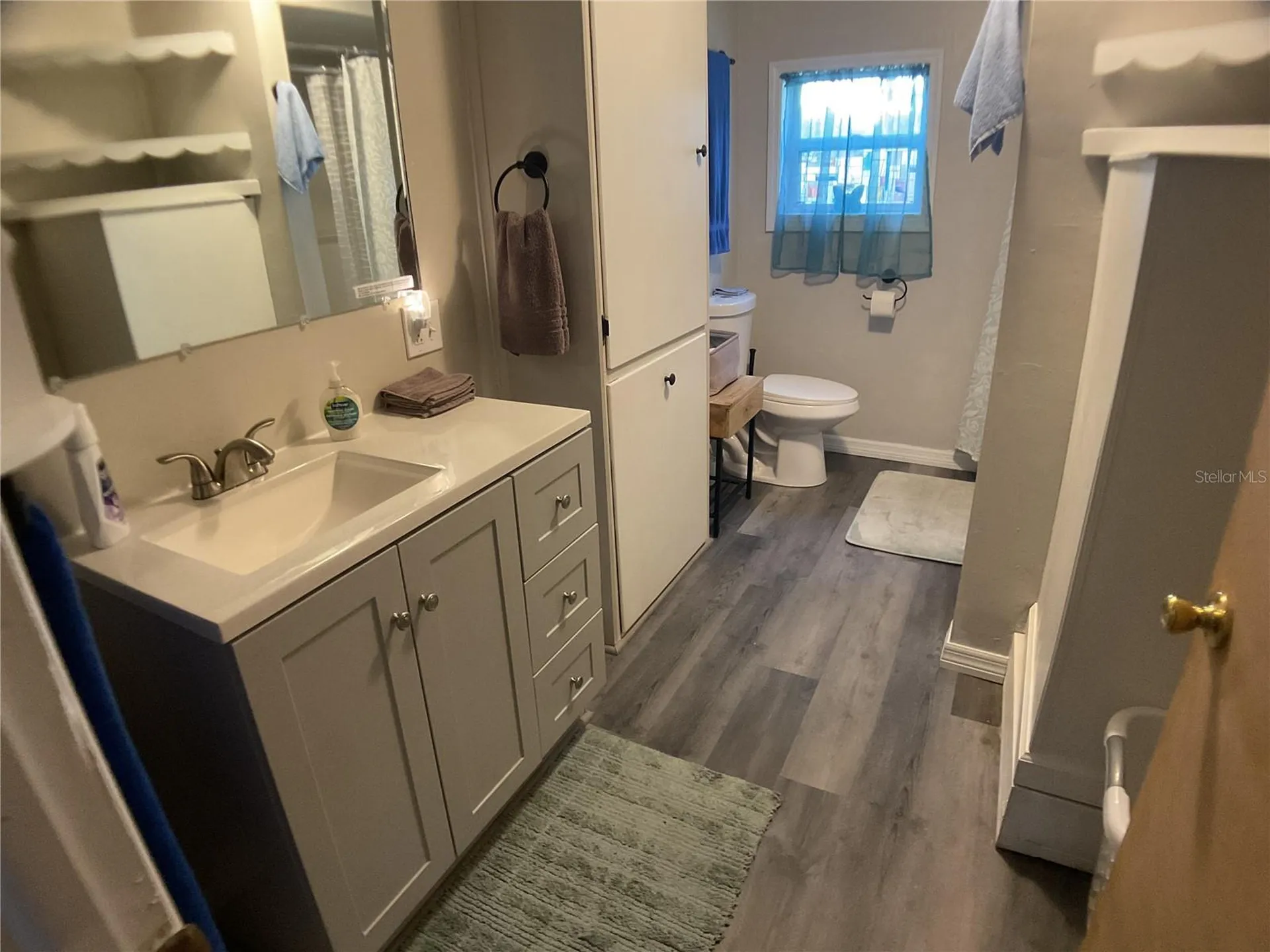 3221 NE Davis Street Arcadia FL 34266