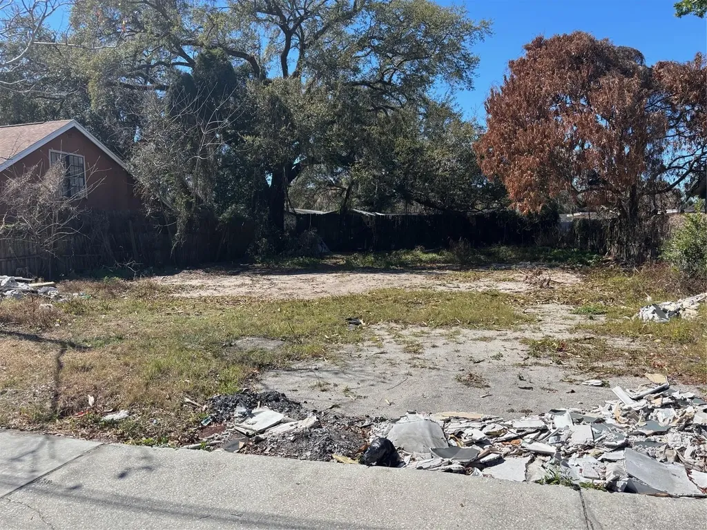 1630 S Rio Grande Avenue Orlando FL 32805