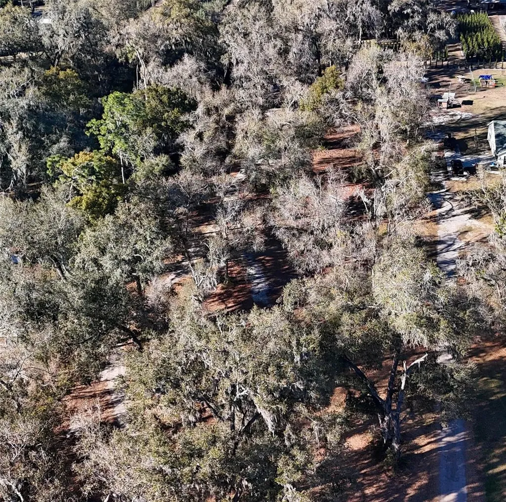 3015 Owls Nest Lane Plant City FL 33565