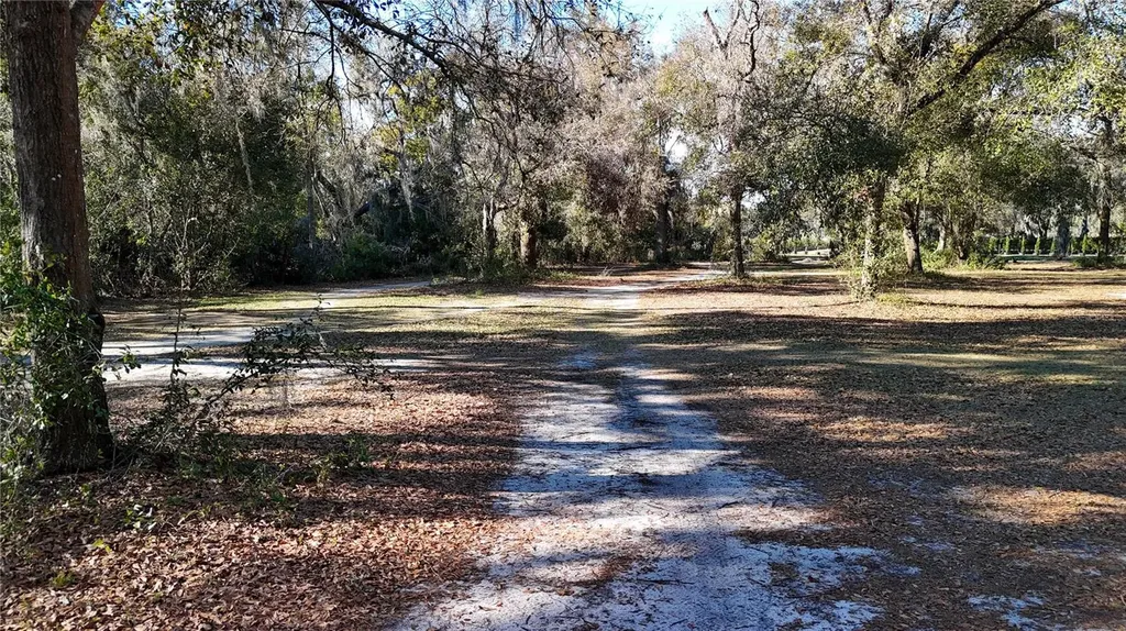 3015 Owls Nest Lane Plant City FL 33565