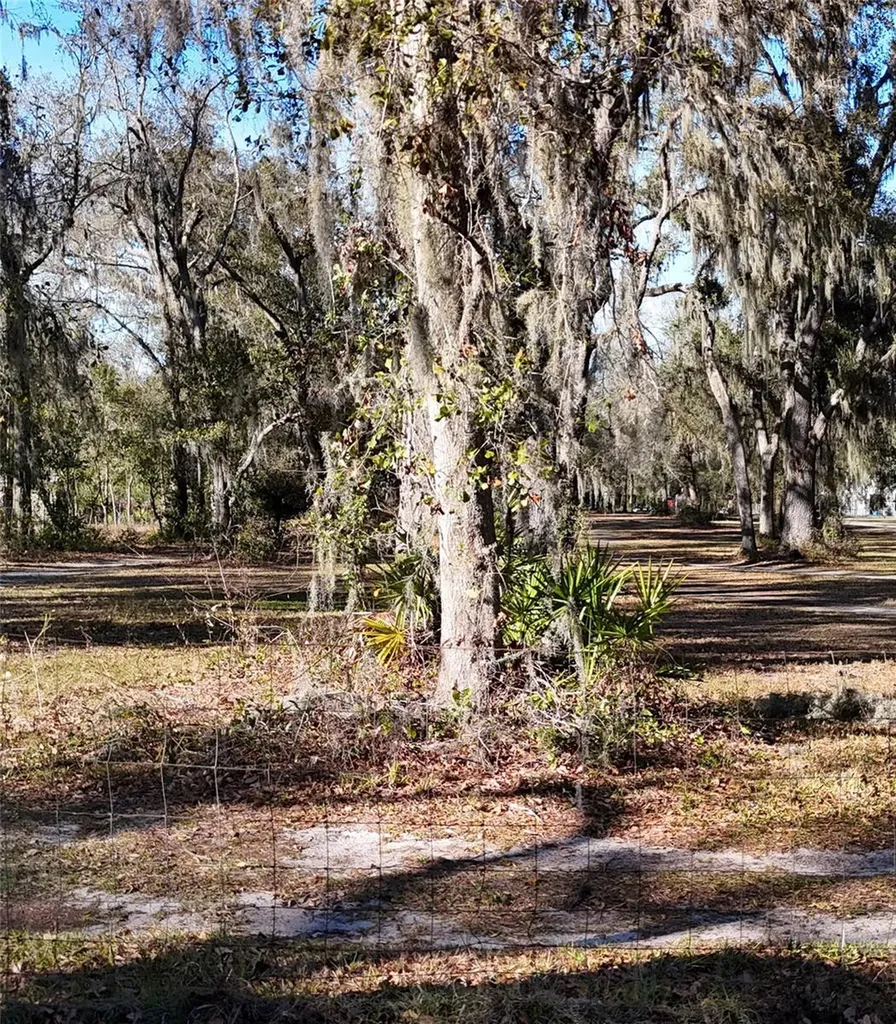 3015 Owls Nest Lane Plant City FL 33565