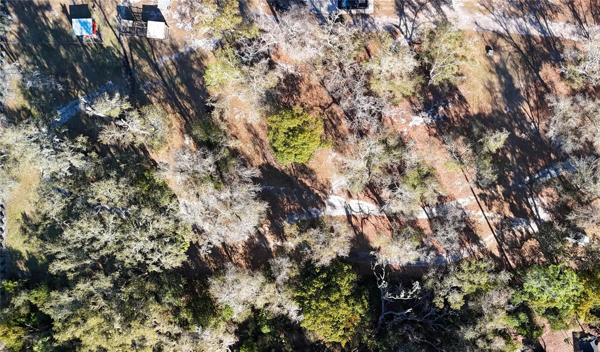 3015 Owls Nest Lane Plant City FL 33565