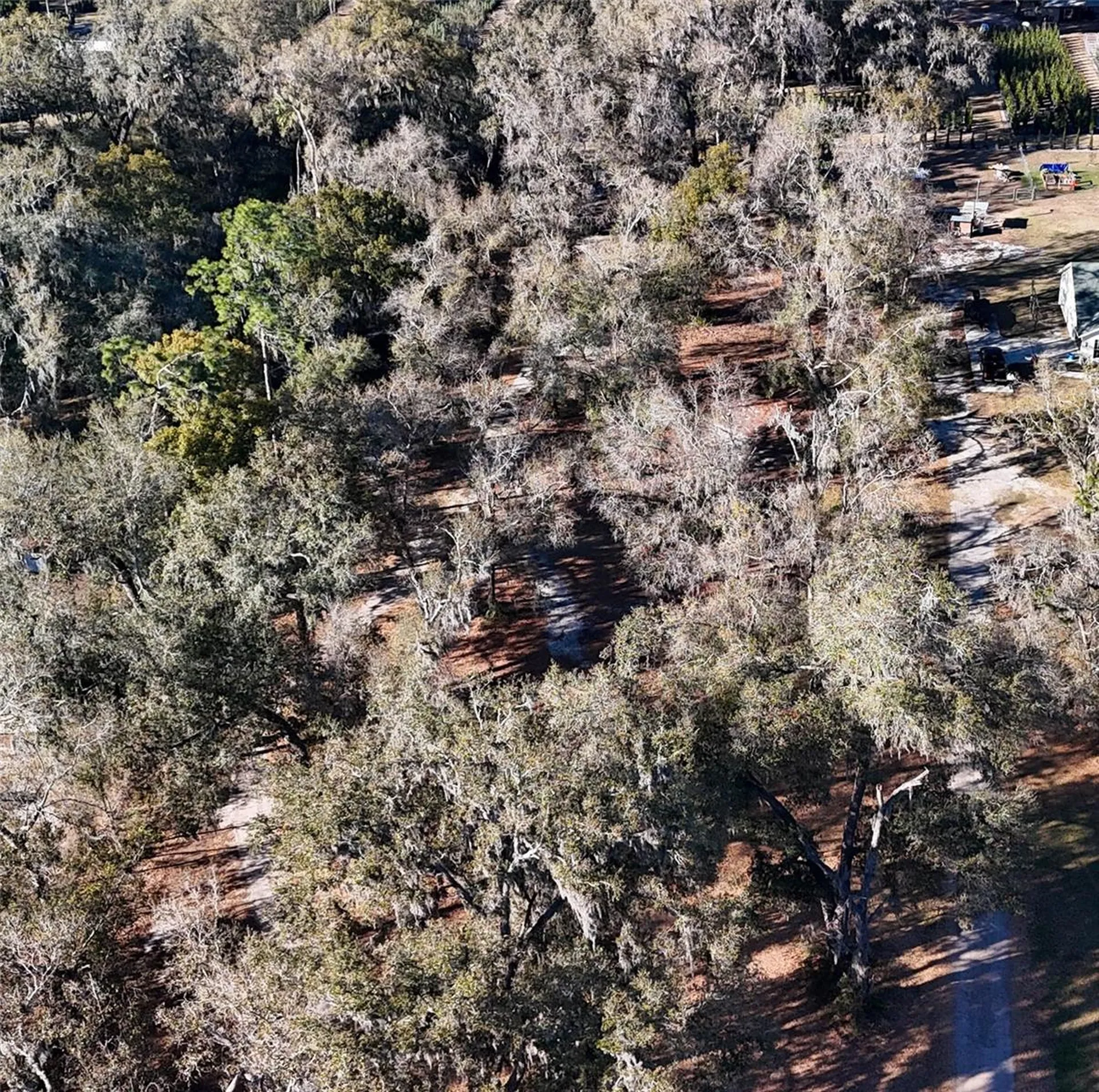 3015 Owls Nest Lane Plant City FL 33565