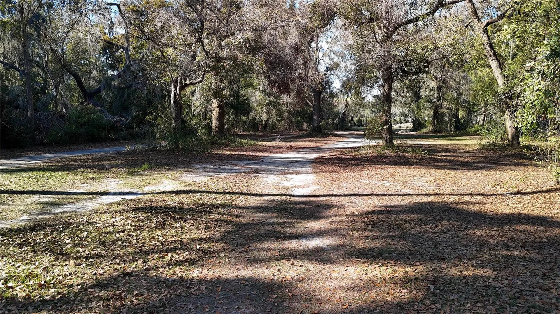 3015 Owls Nest Lane Plant City FL 33565
