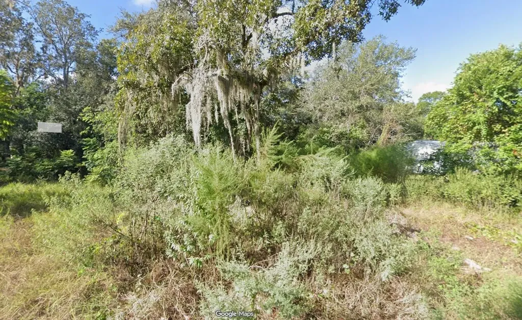 12130 Smokey Lake Loop New Port Richey FL 34654