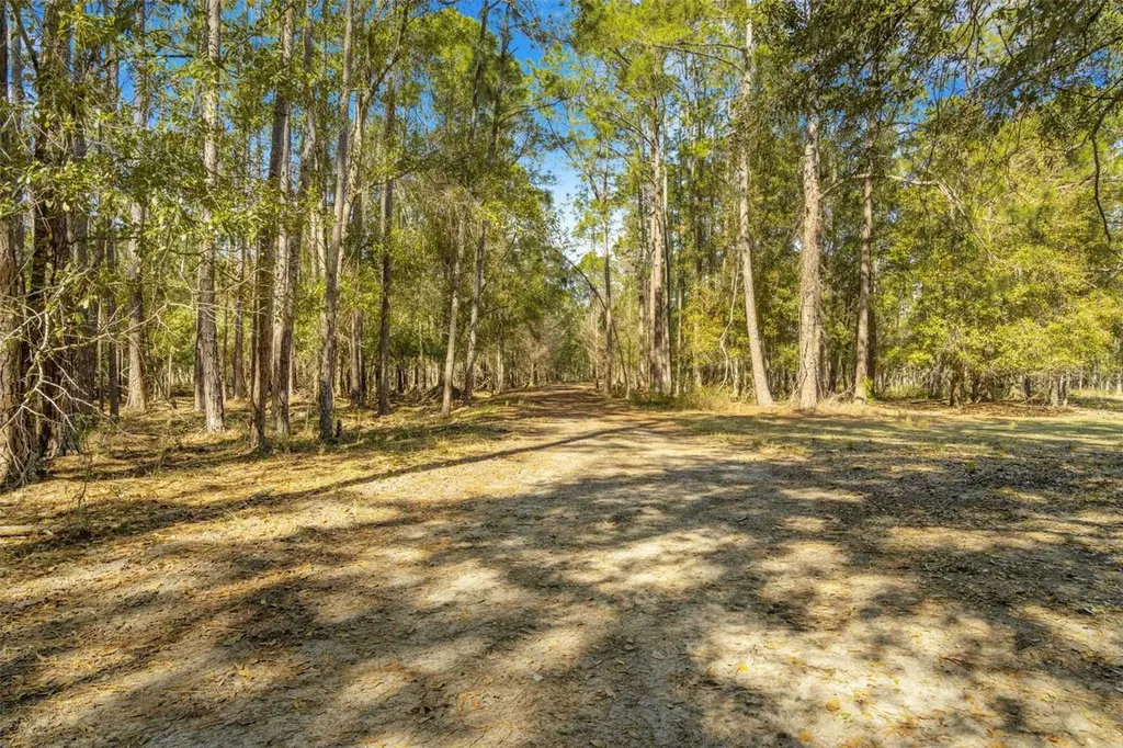Lake Erie Road Groveland FL 34736