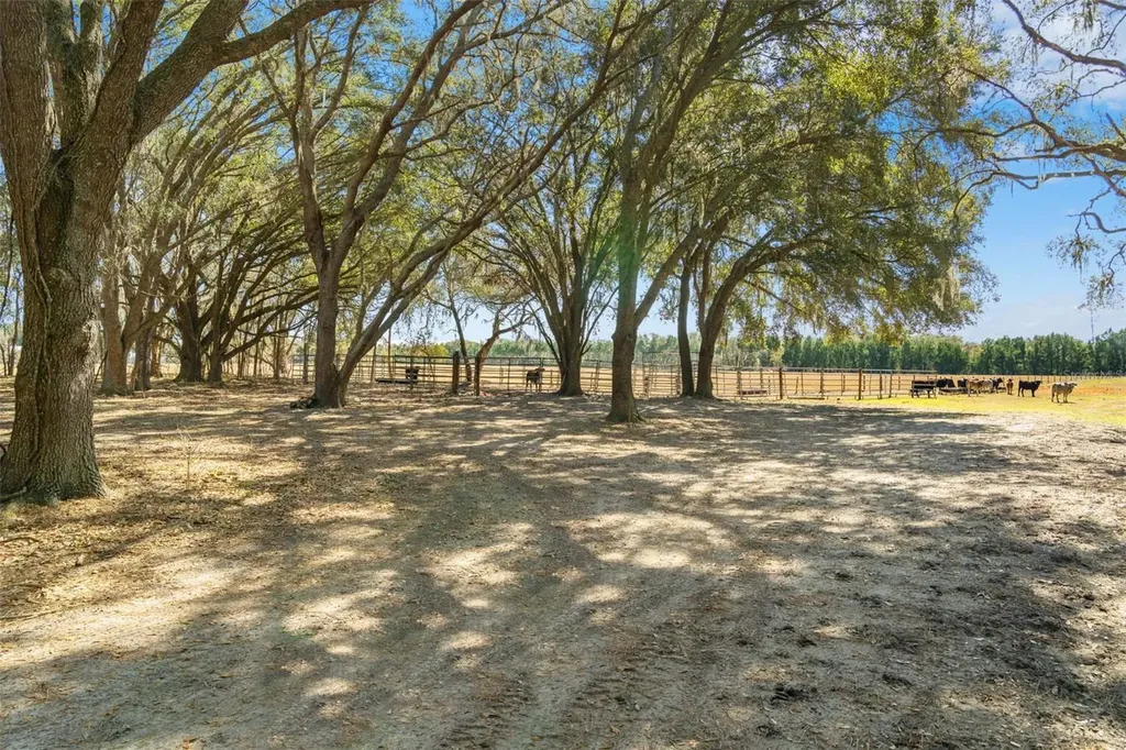 Lake Erie Road Groveland FL 34736