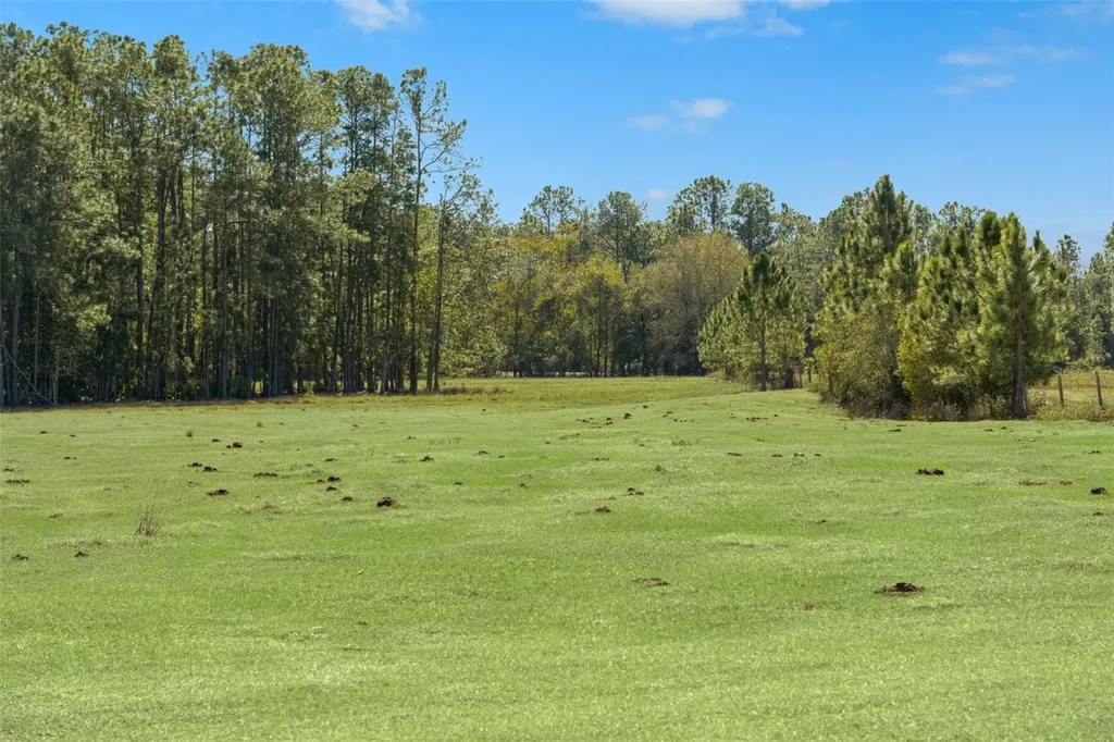 Lake Erie Road Groveland FL 34736