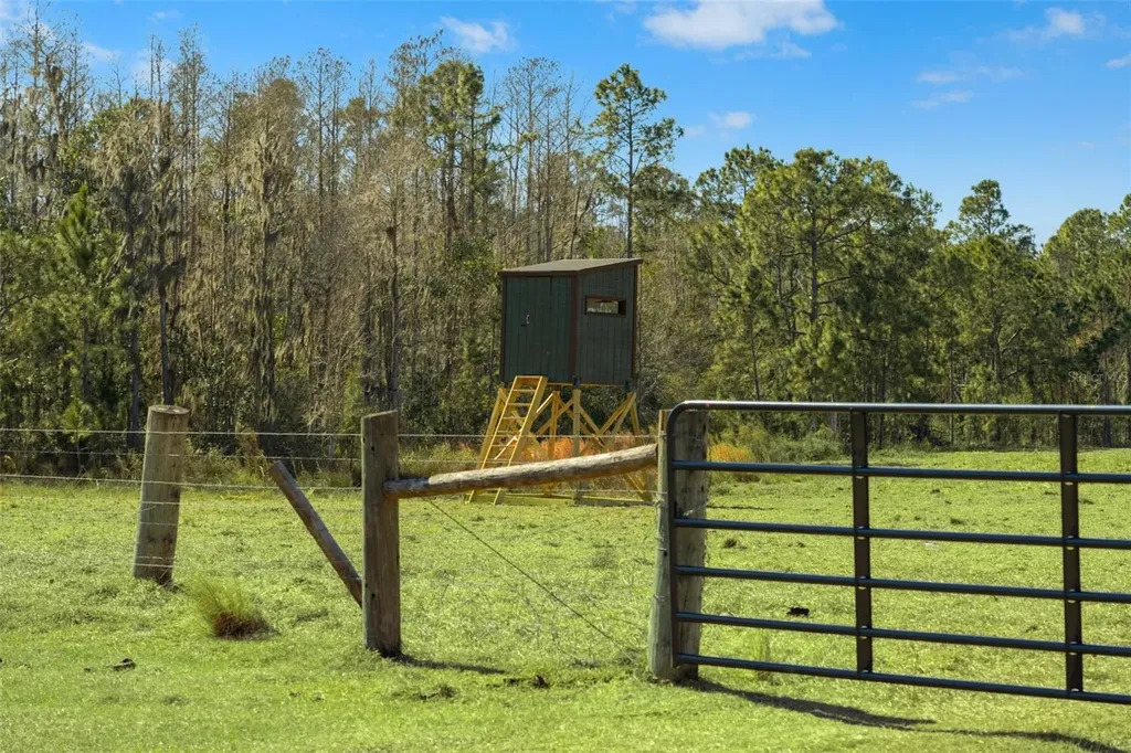 Lake Erie Road Groveland FL 34736