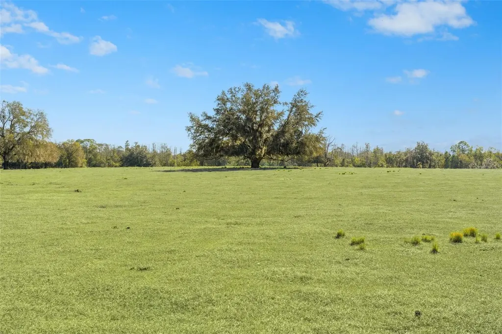 Lake Erie Road Groveland FL 34736