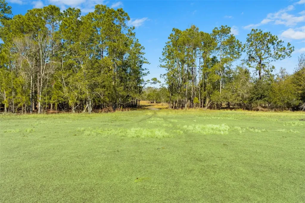 Lake Erie Road Groveland FL 34736