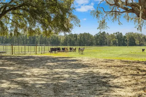 Lake Erie Road Groveland FL 34736