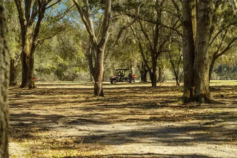 Lake Erie Road Groveland FL 34736