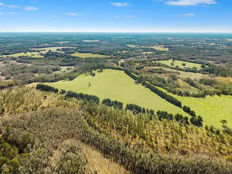 Lake Erie Road Groveland FL 34736