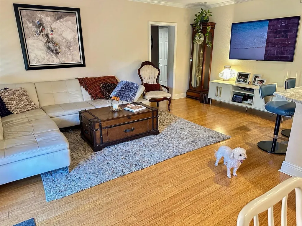 8911 Blind Pass Road St Pete Beach FL 33706