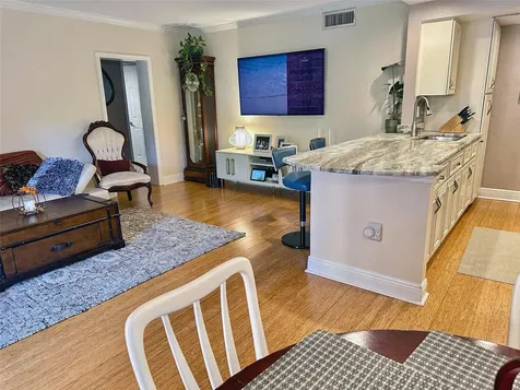 8911 Blind Pass Road St Pete Beach FL 33706