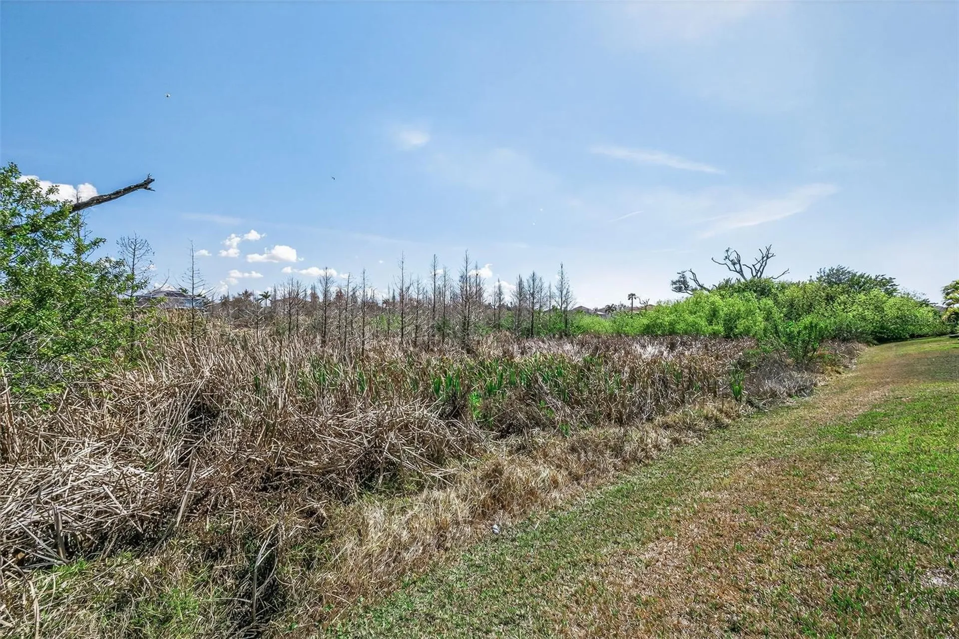 521 Vista Ridge Drive Ruskin FL 33570