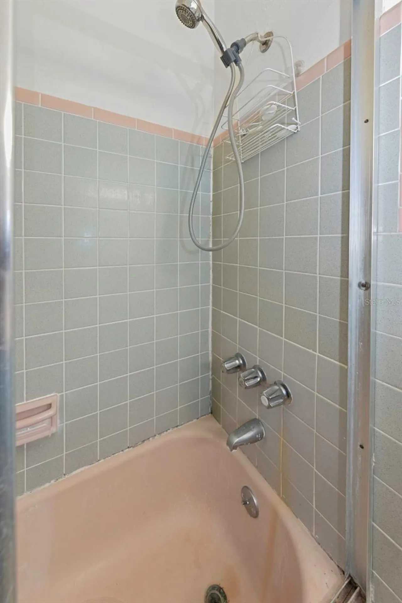 3117 W Leroy Street Tampa FL 33607