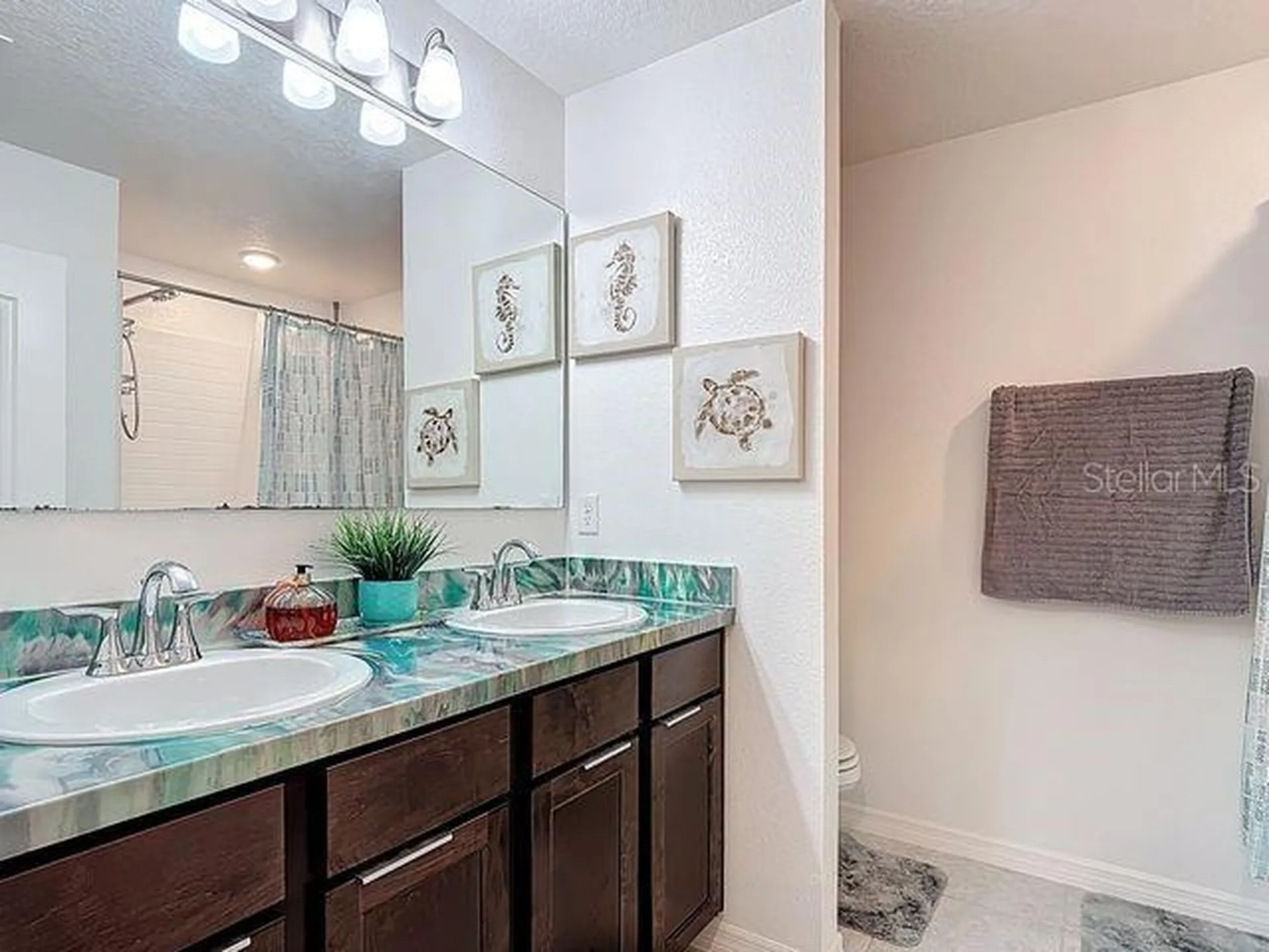 2244 Canyon Breeze Avenue Kissimmee FL 34746