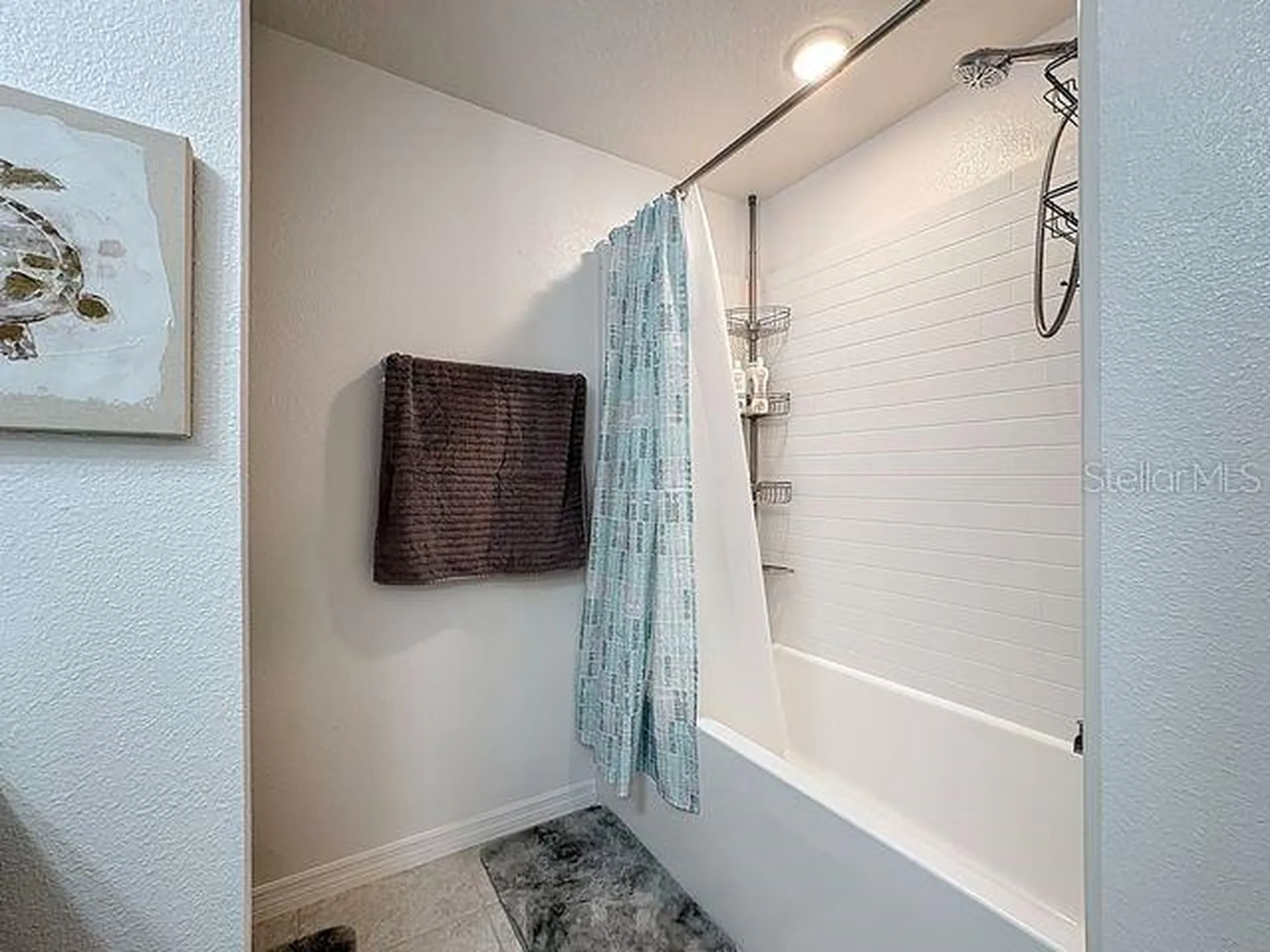2244 Canyon Breeze Avenue Kissimmee FL 34746