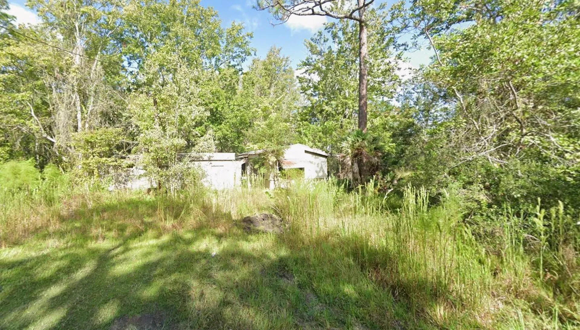 9531 Ellis Street New Port Richey FL 34654