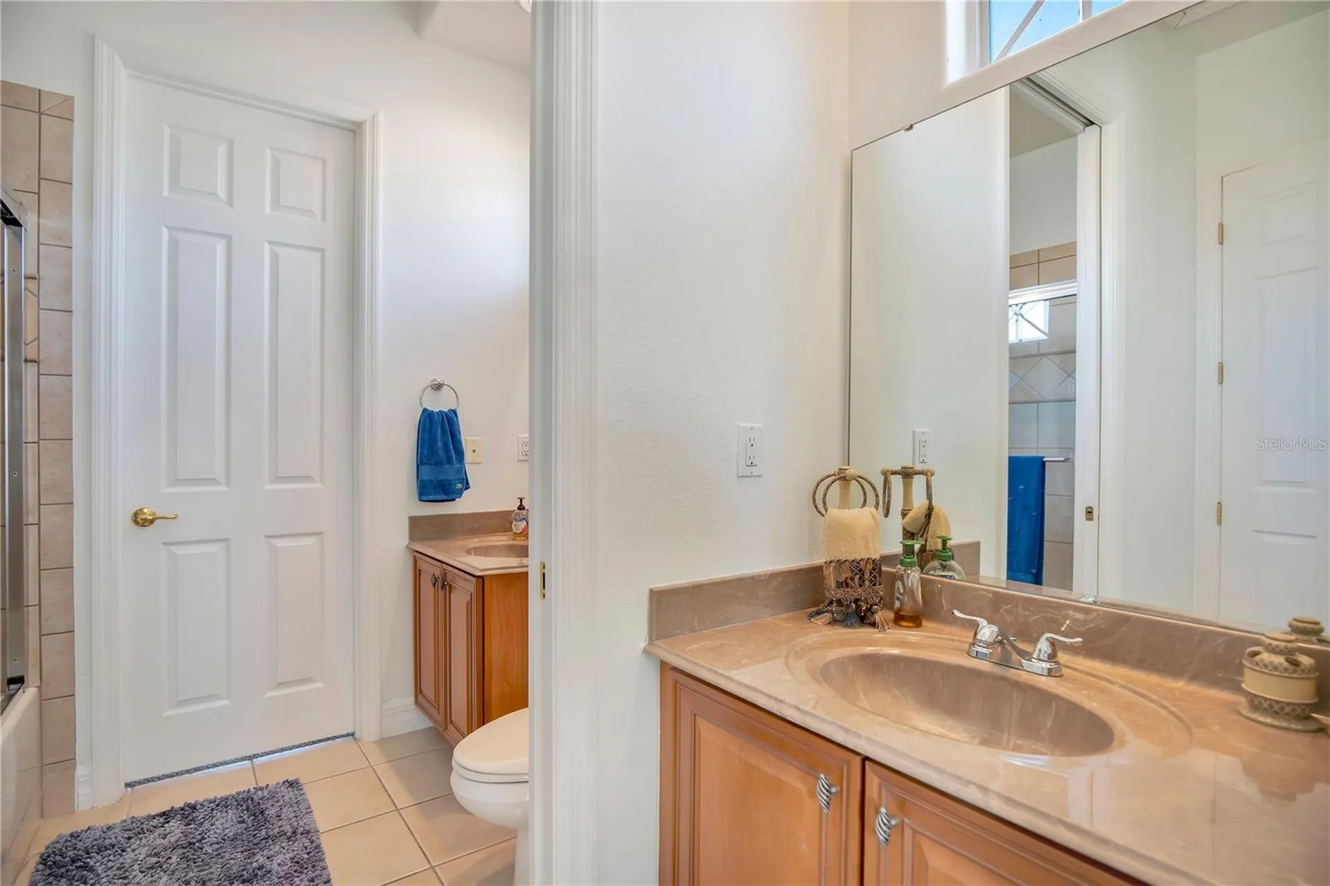 16356 Bristol Lake Circle Orlando FL 32828