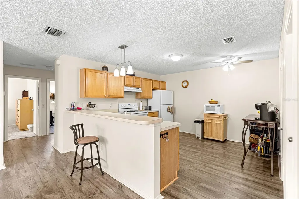 16938 SE 94th Sunnybrook Circle The Villages FL 32162