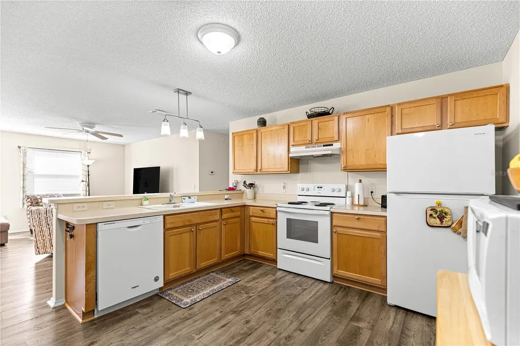 16938 SE 94th Sunnybrook Circle The Villages FL 32162