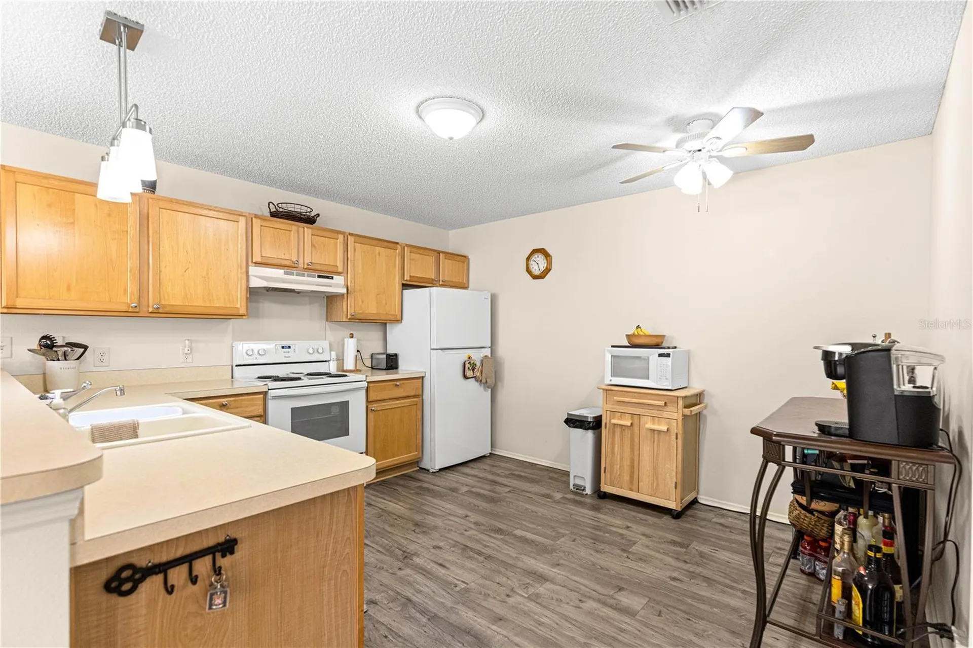 16938 SE 94th Sunnybrook Circle The Villages FL 32162