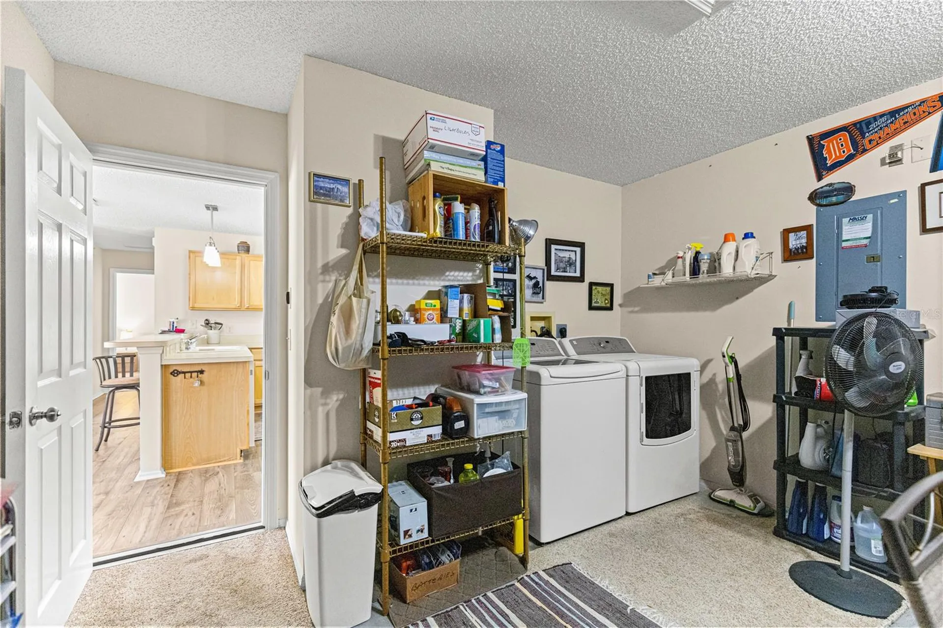 16938 SE 94th Sunnybrook Circle The Villages FL 32162