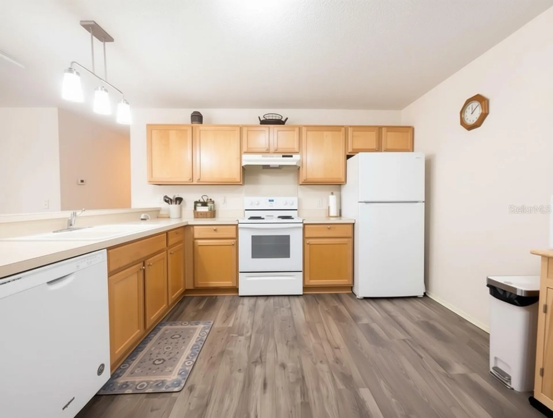 16938 SE 94th Sunnybrook Circle The Villages FL 32162