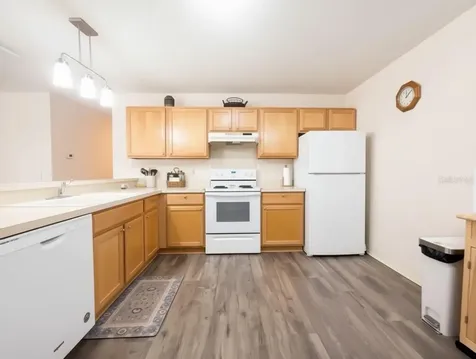 16938 SE 94th Sunnybrook Circle The Villages FL 32162