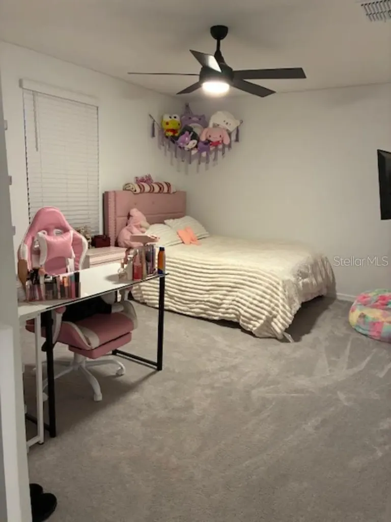 4974 Eagle Rock Drive Wimauma FL 33598