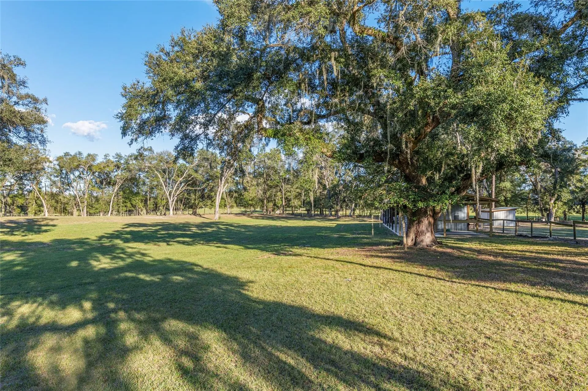 3291 SE 188th Terrace Morriston FL 32668