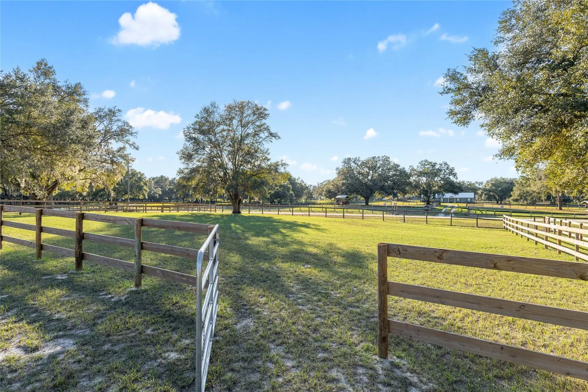 3291 SE 188th Terrace Morriston FL 32668