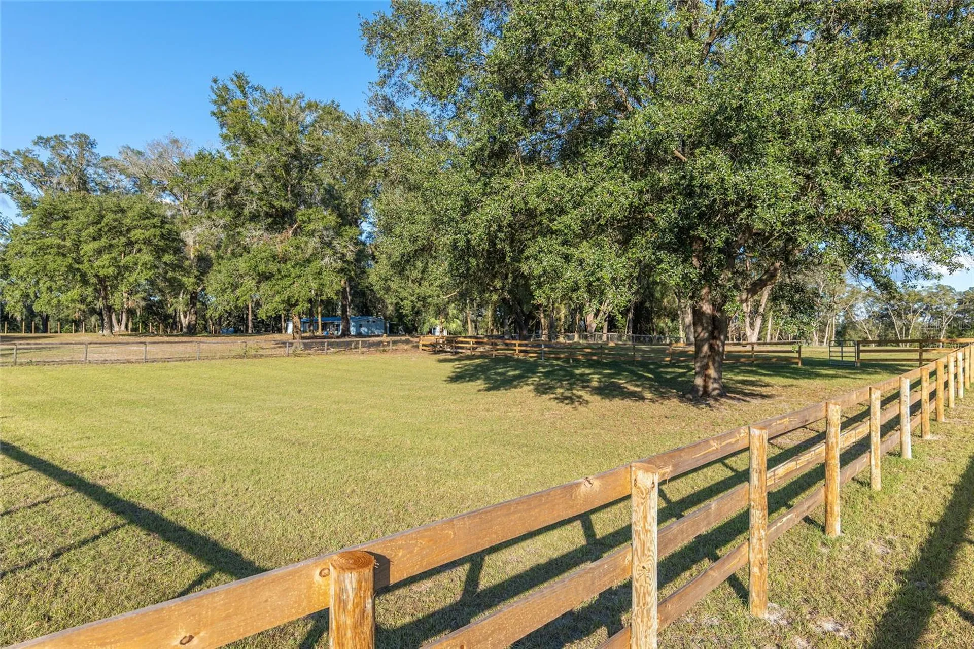 3291 SE 188th Terrace Morriston FL 32668