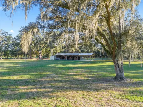 3291 SE 188th Terrace Morriston FL 32668