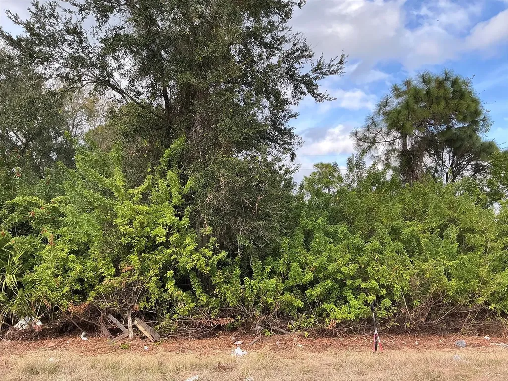 52 Gene Avenue S Lehigh Acres FL 33976