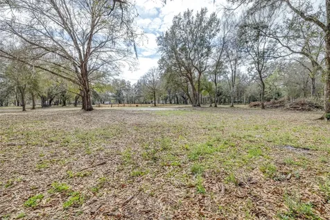 SE 124th Avenue Webster FL 33597