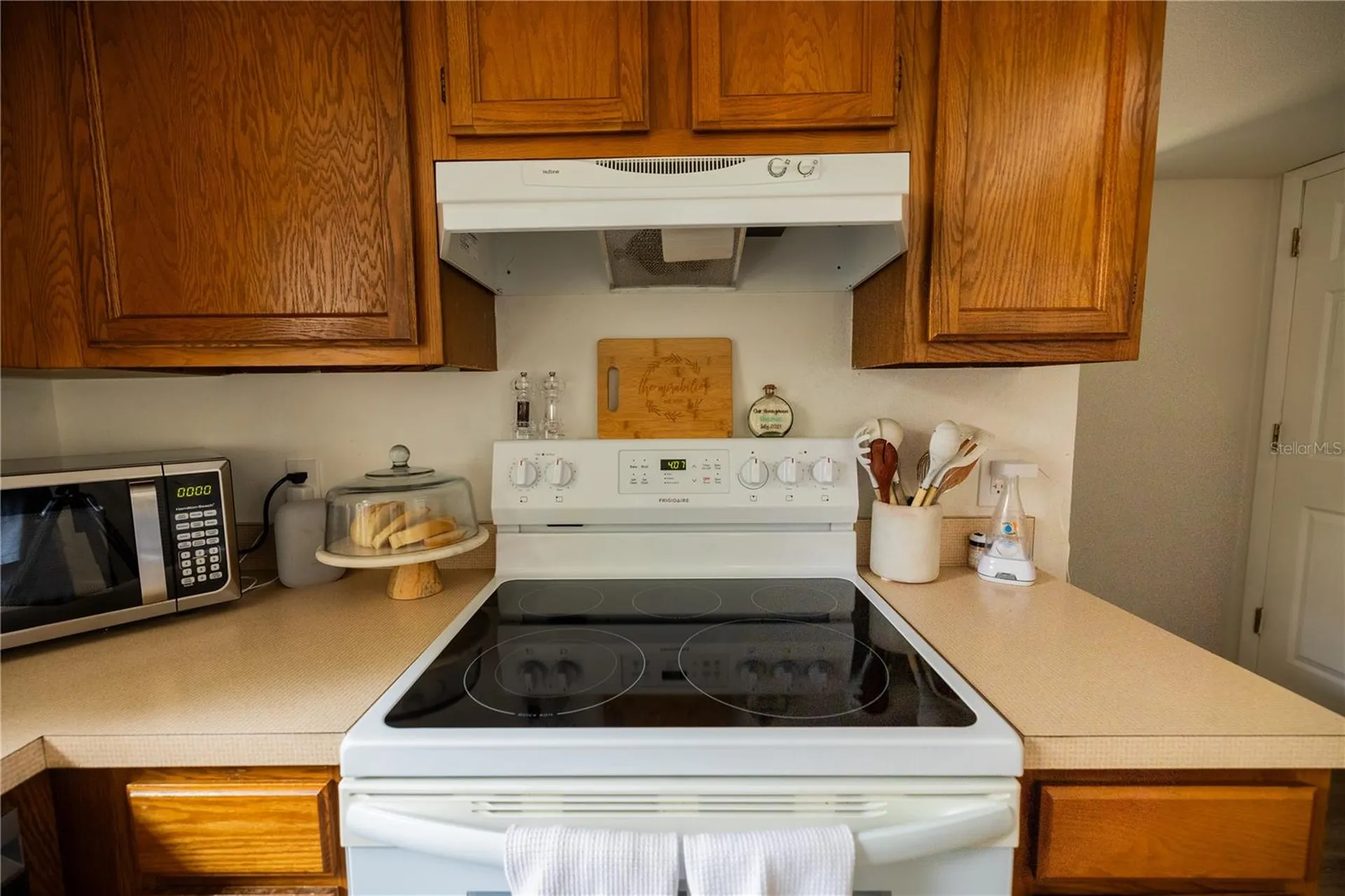 3728 Murray Dale Drive Valrico FL 33596
