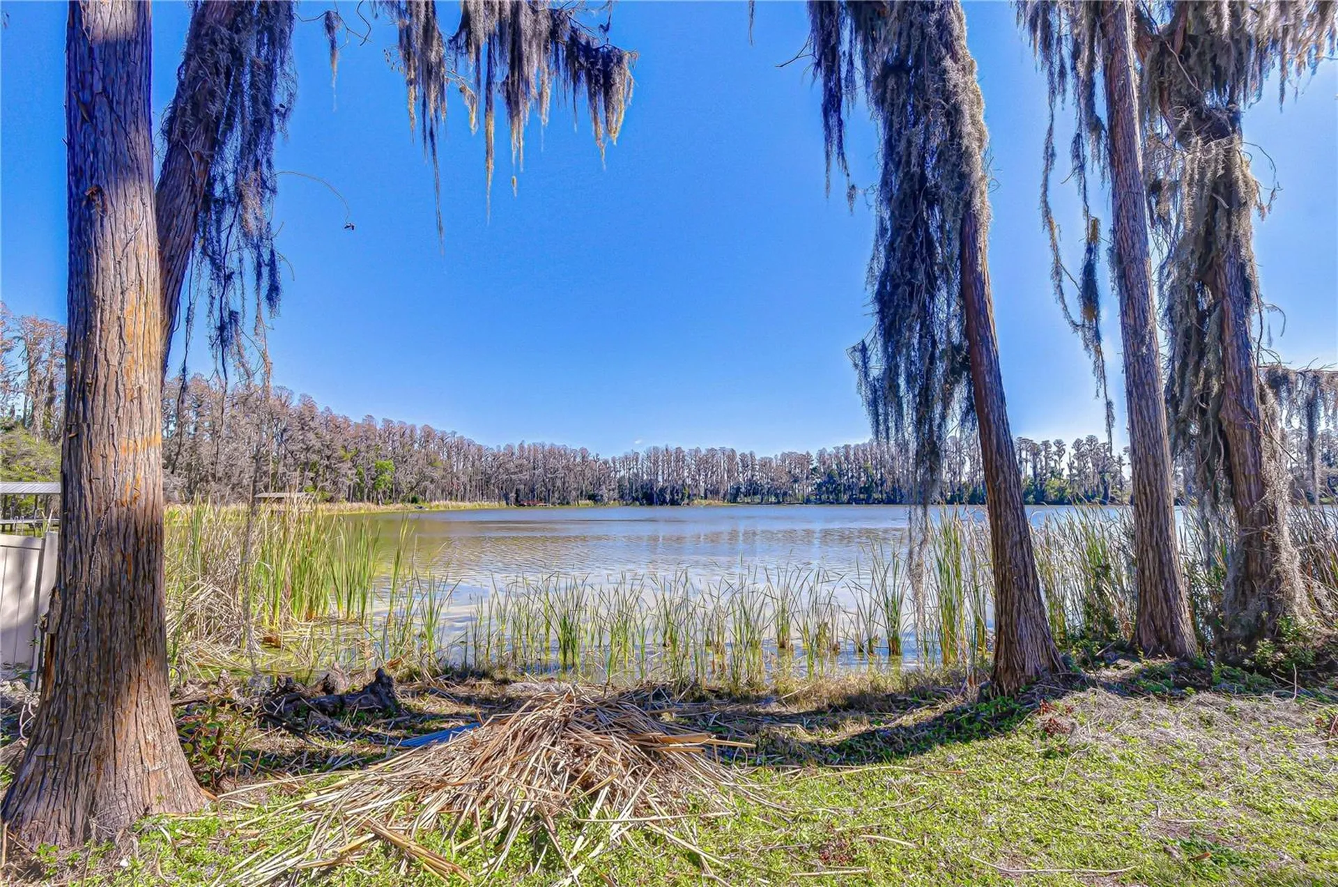 6608 Wisteria Loop Land O Lakes FL 34638