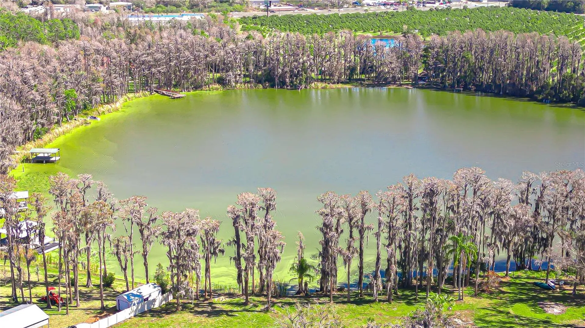 6608 Wisteria Loop Land O Lakes FL 34638