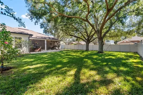 21417 Cypress Tree Court Land O Lakes FL 34637