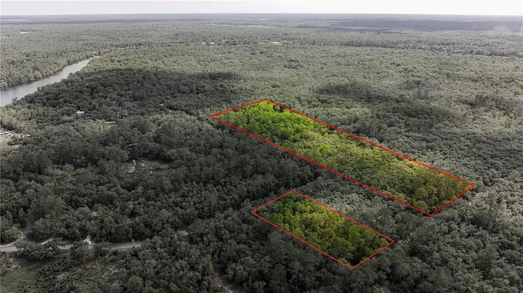 Tbd Off Riverview Road Fanning Springs FL 32693
