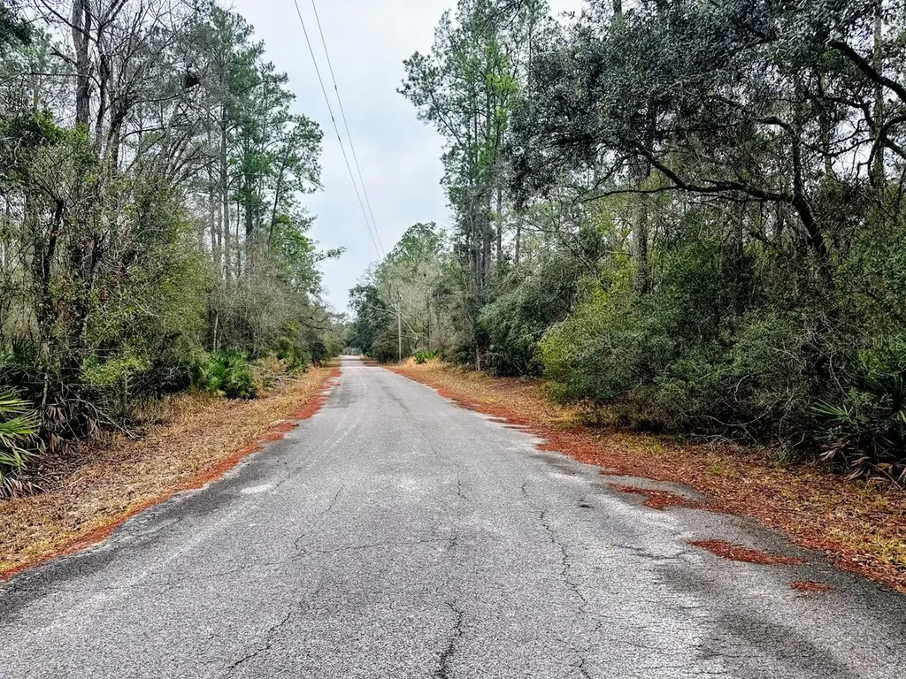 Tbd Off Riverview Road Fanning Springs FL 32693