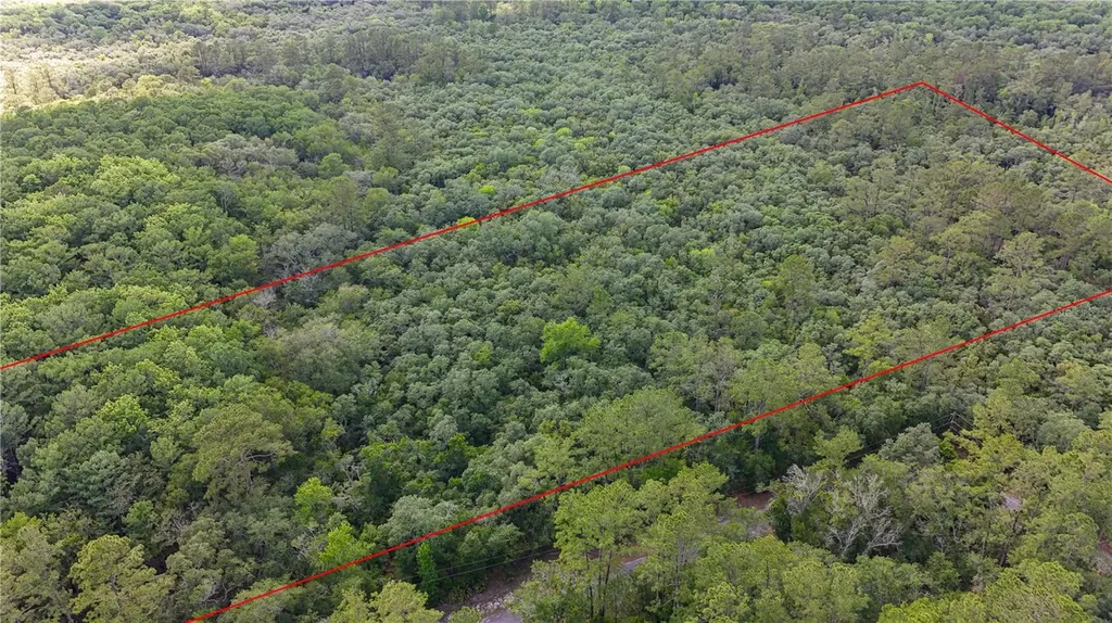 Tbd Off Riverview Road Fanning Springs FL 32693