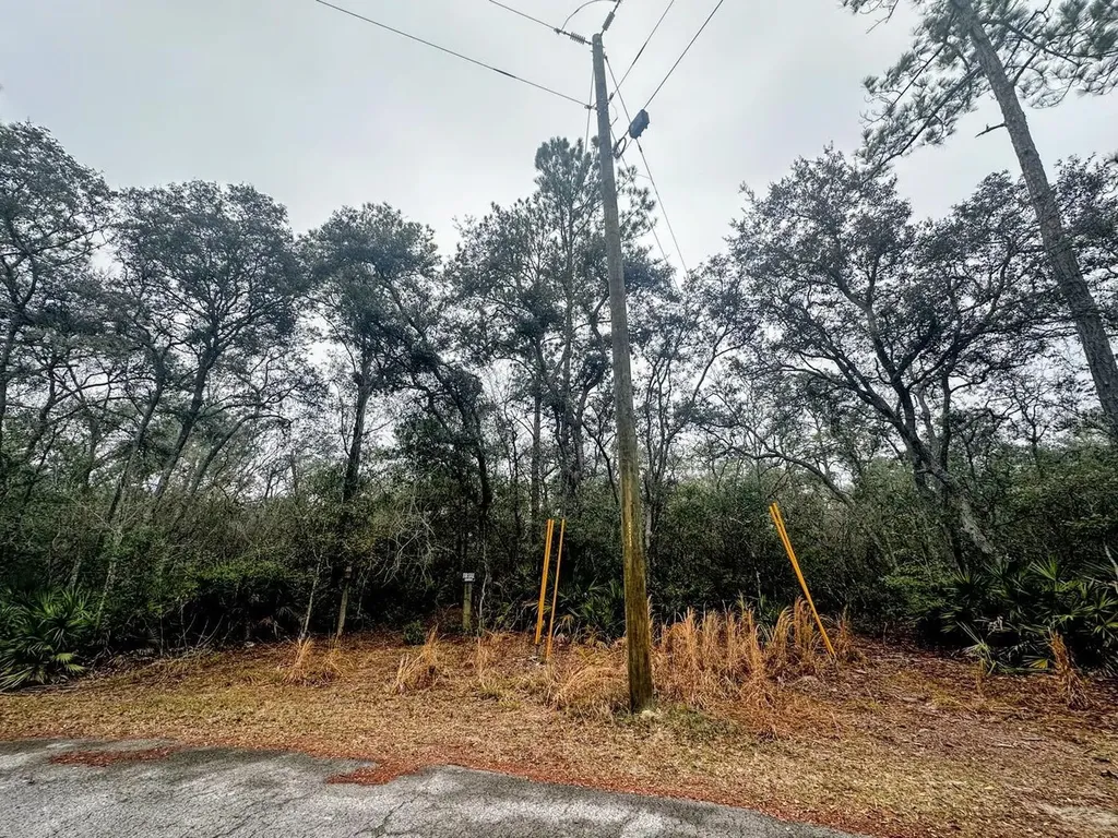 Tbd Off Riverview Road Fanning Springs FL 32693