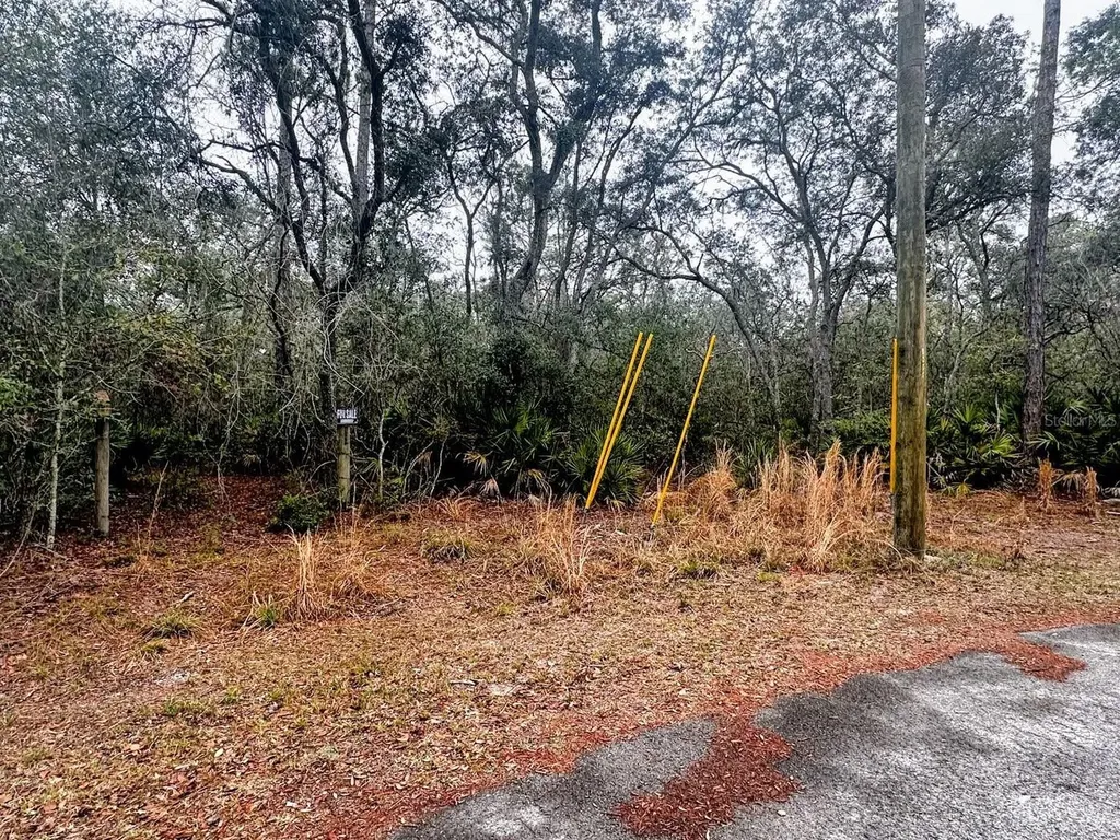 Tbd Off Riverview Road Fanning Springs FL 32693