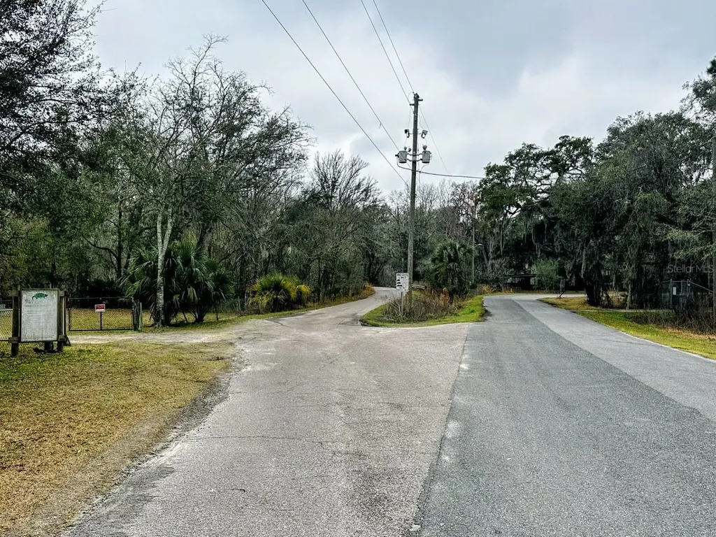 Tbd Off Riverview Road Fanning Springs FL 32693
